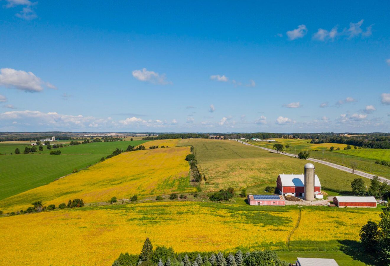 Township of Brock Puckrin & Latreille Real Estate