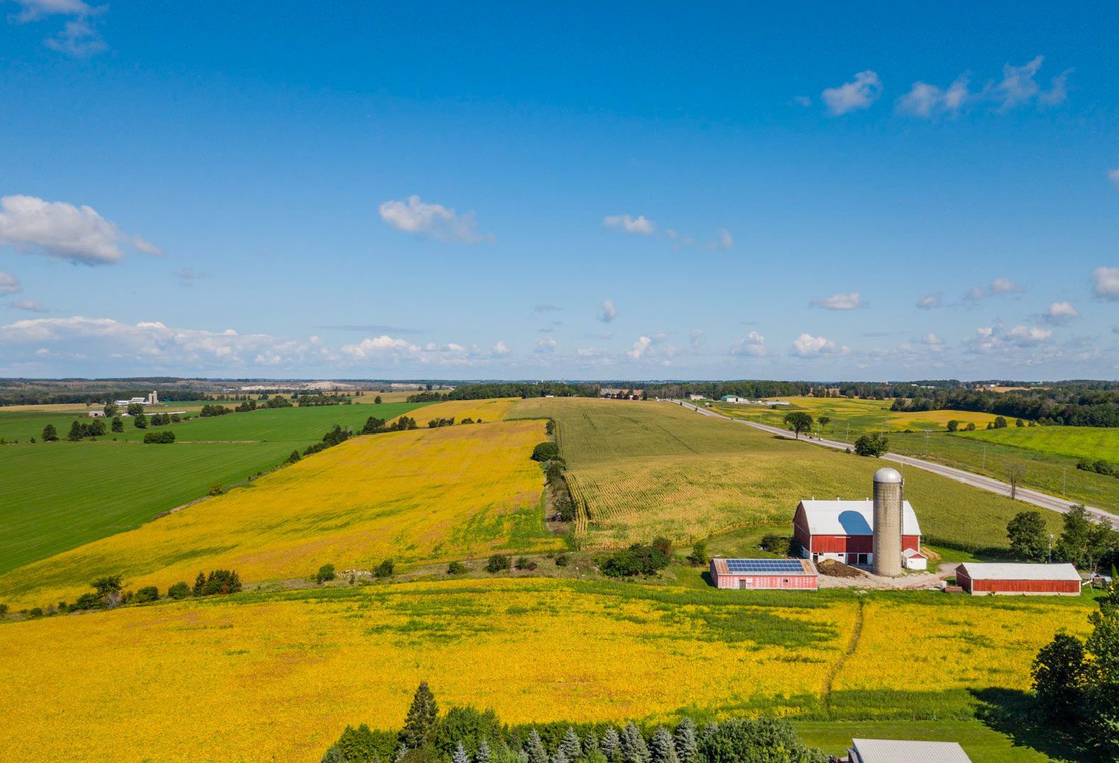 Township of Brock Puckrin & Latreille Real Estate