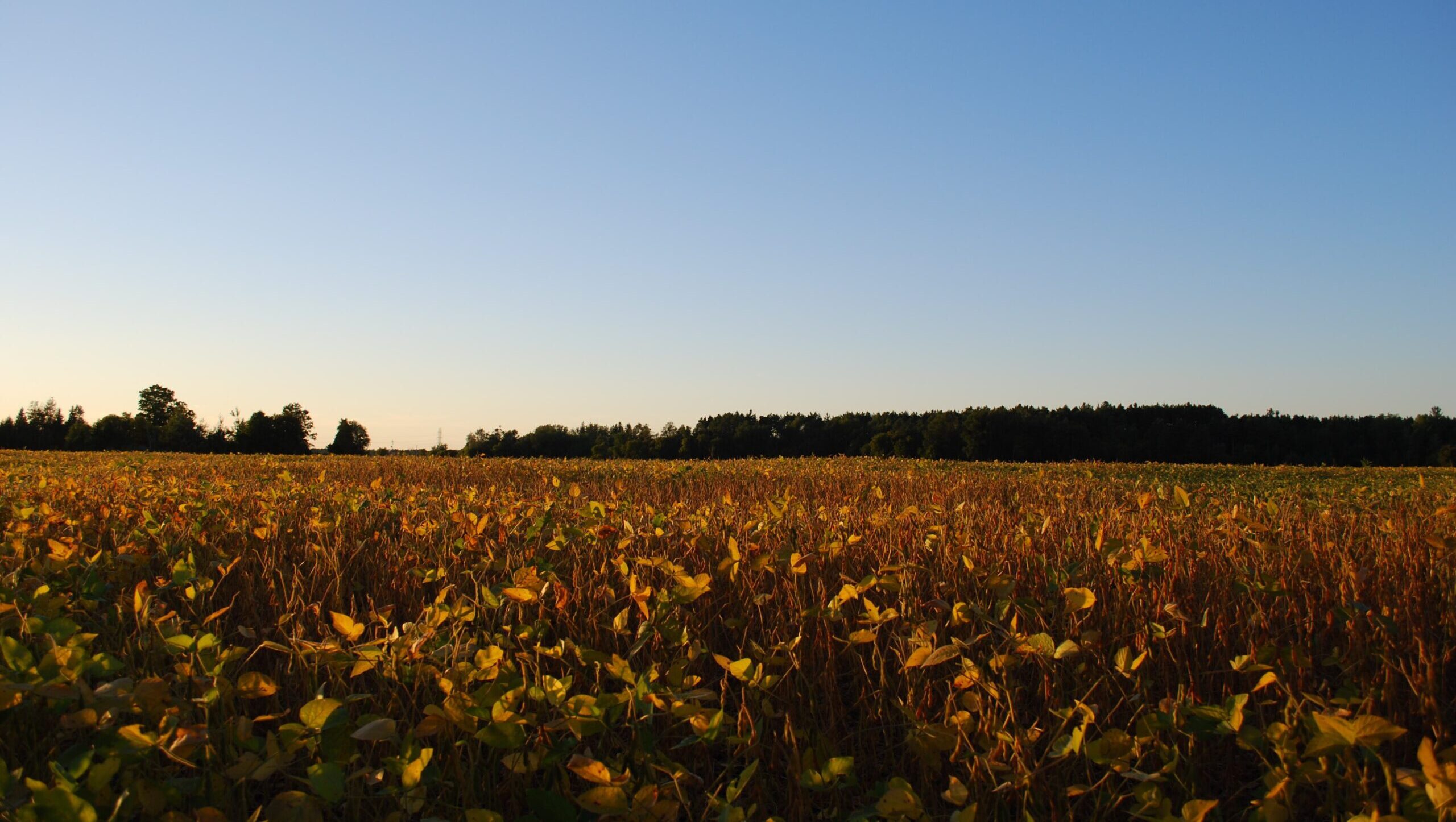 Selling Your Rural Property With A Specialist Durham REALTORS